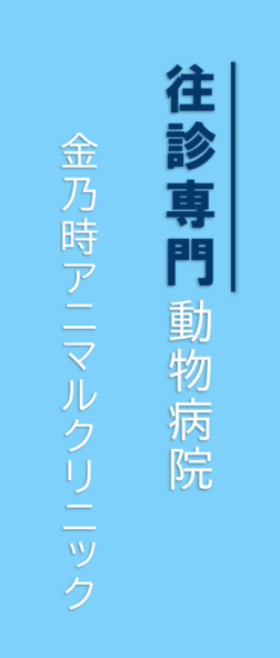 横浜・周辺の往診専門動物病院 金乃時アニマルクリニック